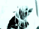 Avatar utente