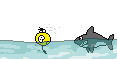 :sharky
