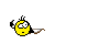 :pauer